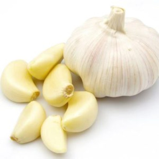  عکس سیر خشک